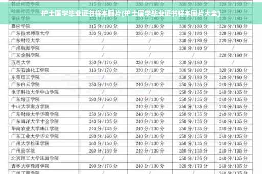 护士医学毕业证书样本图片(护士医学毕业证书样本图片大全)