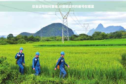 毕业证号如何查询,计算机证书的编号在哪里