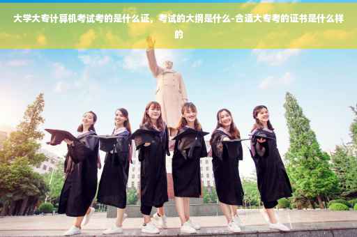 大学大专计算机考试考的是什么证，考试的大纲是什么-合适大专考的证书是什么样的
