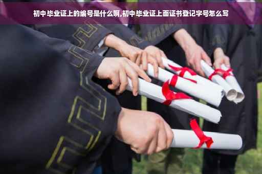 初中毕业证上的编号是什么啊,初中毕业证上面证书登记字号怎么写