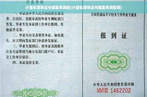 计算机等级证书哪里看真假(计算机等级证书哪里看真假啊)