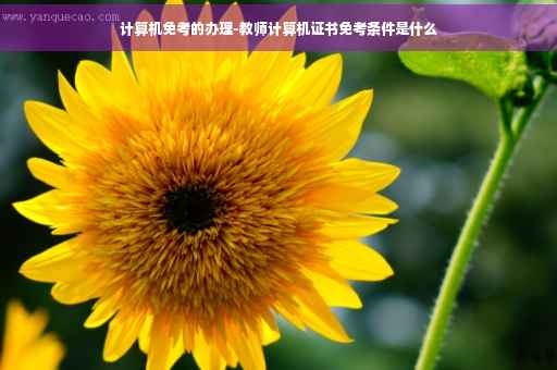 计算机免考的办理-教师计算机证书免考条件是什么