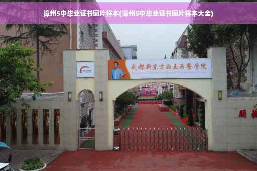 漳州5中毕业证书图片样本(漳州5中毕业证书图片样本大全)