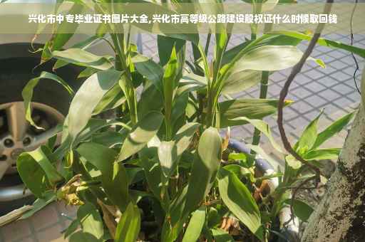 兴化市中专毕业证书图片大全,兴化市高等级公路建设股权证什么时候取回钱 兴化市中专毕业证书图片大全,兴化市高等级公路建设股权证什么时候取回钱