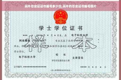 高中毕业证证书编号多少位,高中的毕业证书编号图片