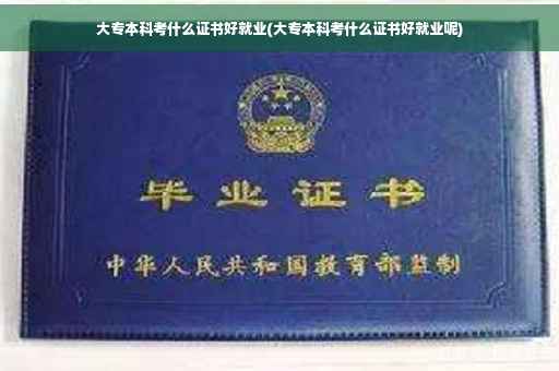 大专本科考什么证书好就业(大专本科考什么证书好就业呢)