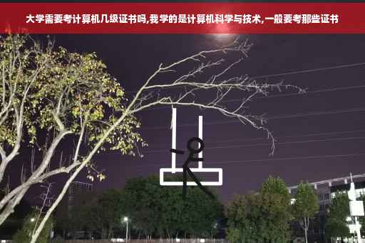 大学需要考计算机几级证书吗,我学的是计算机科学与技术,一般要考那些证书