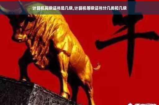 计算机高级证书是几级,计算机等级证书分几类和几级