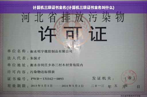 计算机三级证书全名(计算机三级证书全名叫什么)