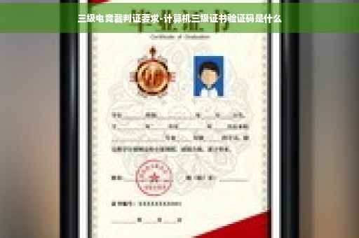 三级电竞裁判证要求-计算机三级证书验证码是什么