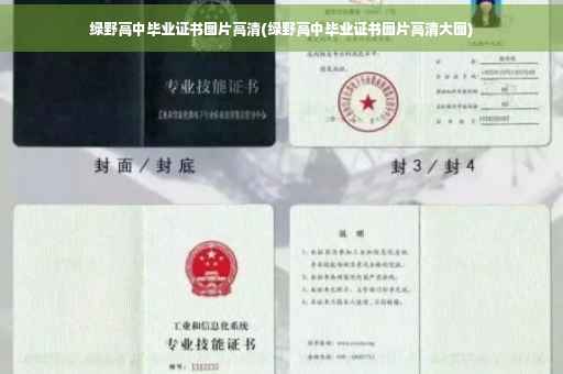 绿野高中毕业证书图片高清(绿野高中毕业证书图片高清大图)