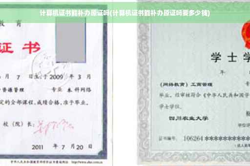 计算机证书能补办原证吗(计算机证书能补办原证吗要多少钱)