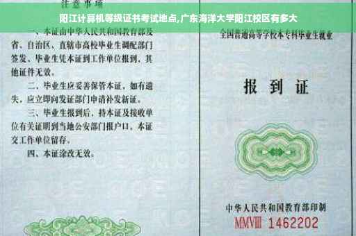 阳江计算机等级证书考试地点,广东海洋大学阳江校区有多大