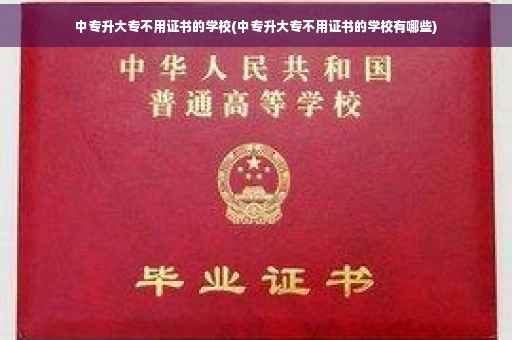 中专升大专不用证书的学校(中专升大专不用证书的学校有哪些)