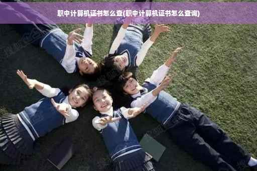 职中计算机证书怎么查(职中计算机证书怎么查询)