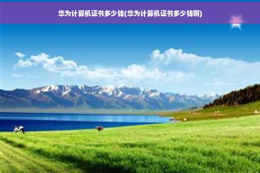 华为计算机证书多少钱(华为计算机证书多少钱啊) 华为计算机证书多少钱(华为计算机证书多少钱啊)