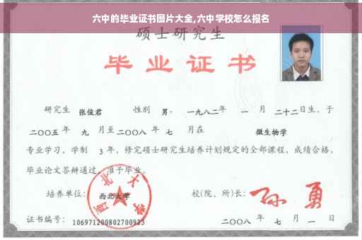 六中的毕业证书图片大全,六中学校怎么报名