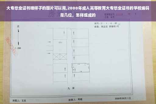 大专毕业证书啥样子的图片可以用,2000年成人高等教育大专毕业证书的学校编码是几位，怎样组成的