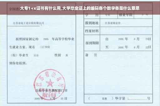 大专1+x证书有什么用,大学毕业证上的编码各个数字各是什么意思