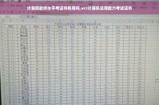 计算机软件水平考证书有用吗,vct计算机应用能力考试证书