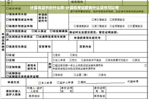 计算机证书长什么样-计算机考试都有什么证书可以考