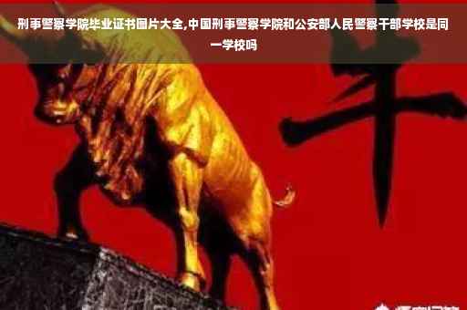 刑事警察学院毕业证书图片大全,中国刑事警察学院和公安部人民警察干部学校是同一学校吗
