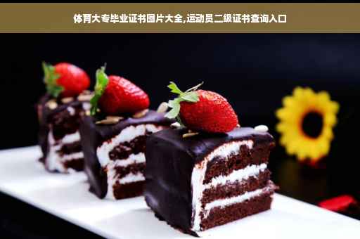 体育大专毕业证书图片大全,运动员二级证书查询入口