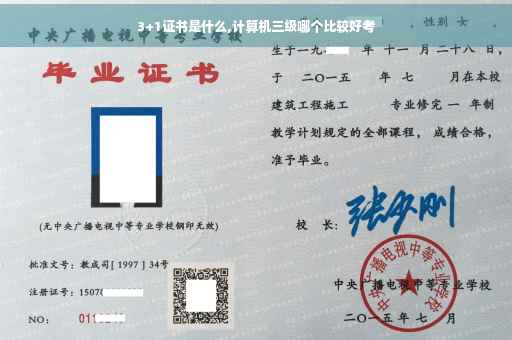 3+1证书是什么,计算机三级哪个比较好考
