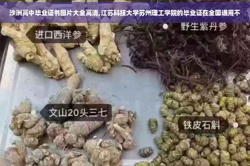 沙洲高中毕业证书图片大全高清,江苏科技大学苏州理工学院的毕业证在全国通用不