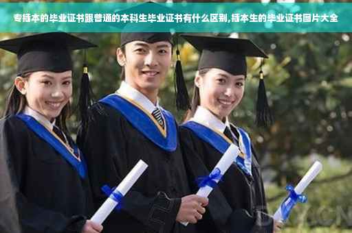专插本的毕业证书跟普通的本科生毕业证书有什么区别,插本生的毕业证书图片大全