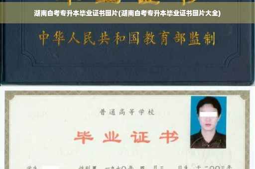 湖南自考专升本毕业证书图片(湖南自考专升本毕业证书图片大全)