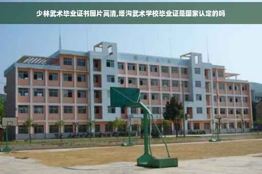 少林武术毕业证书图片高清,塔沟武术学校毕业证是国家认定的吗