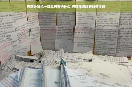 西藏计算机一级科目要选什么,西藏珠峰旗云如何注册