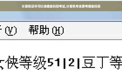 计算机证书可以选哪些科目考试,计算机专业要考哪些科目