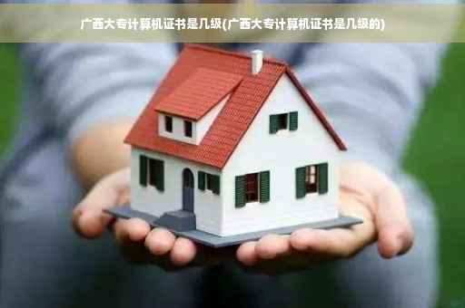 广西大专计算机证书是几级(广西大专计算机证书是几级的)