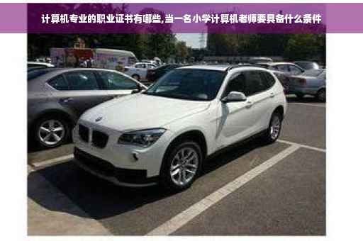 计算机专业的职业证书有哪些,当一名小学计算机老师要具备什么条件