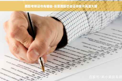 舞蹈考级证书有哪些-芭蕾舞蹈毕业证书图片高清大图