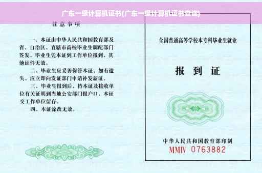 广东一级计算机证书(广东一级计算机证书查询)