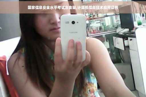 国家信息安全水平考试含金量,计算机信息技术应用证书