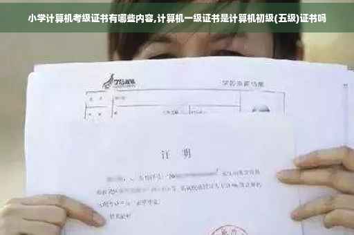 小学计算机考级证书有哪些内容,计算机一级证书是计算机初级(五级)证书吗