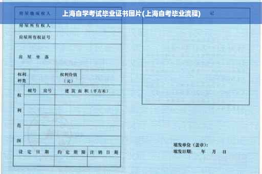 上海自学考试毕业证书图片(上海自考毕业流程)