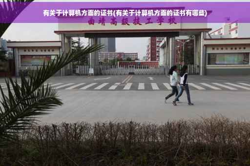 有关于计算机方面的证书(有关于计算机方面的证书有哪些)