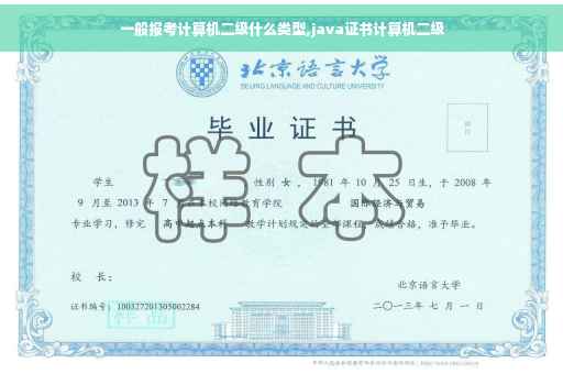 一般报考计算机二级什么类型,java证书计算机二级