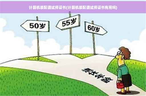 计算机装配调试师证书(计算机装配调试师证书有用吗)