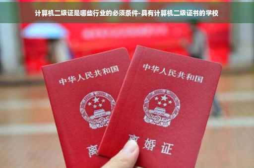 计算机二级证是哪些行业的必须条件-具有计算机二级证书的学校