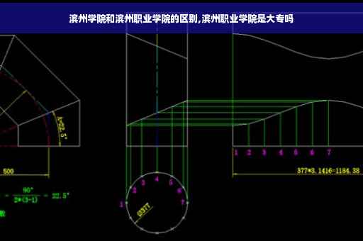 滨州学院和滨州职业学院的区别,滨州职业学院是大专吗