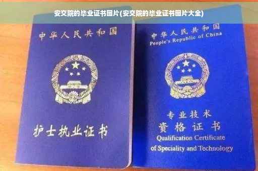 安交院的毕业证书图片(安交院的毕业证书图片大全)