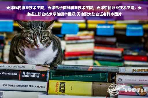 天津现代职业技术学院，天津电子信息职业技术学院，天津中德职业技术学院，天津轻工职业技术学院哪个更好,天津职大毕业证书样本图片