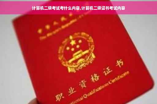 计算机二级考试考什么内容,计算机二级证书考试内容