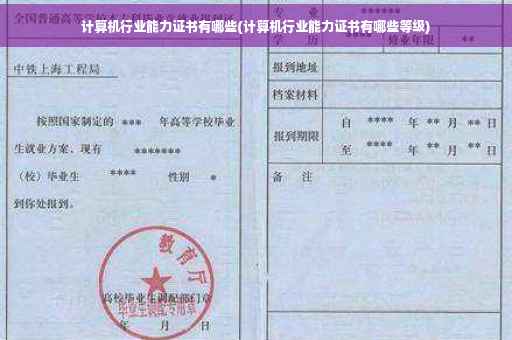 计算机行业能力证书有哪些(计算机行业能力证书有哪些等级)